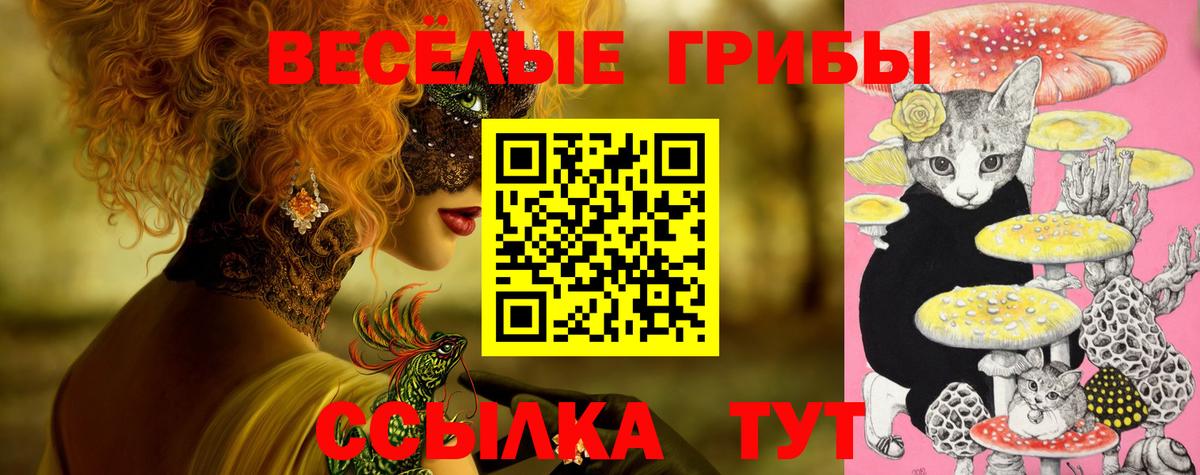 Магнитогорск  Псилоцибиновые грибы мухоморы  Вход с VPN  Галлюциногенные грибы GOLDEN TEACHER 